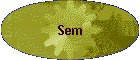 Sem